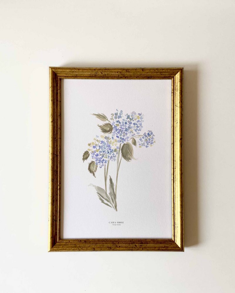 lámina acuarela hortensias azules