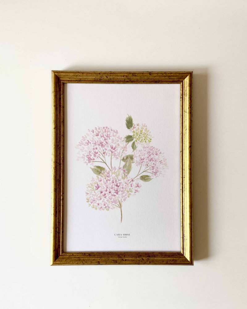 Lámina decorativa para pared con dibujo de ramo de hortensias rosas